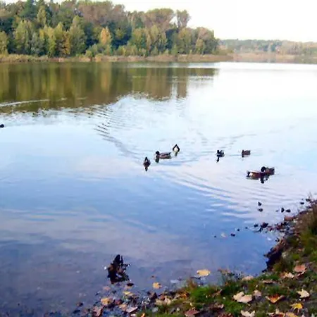 Ferienwohnung Am Heidesee *